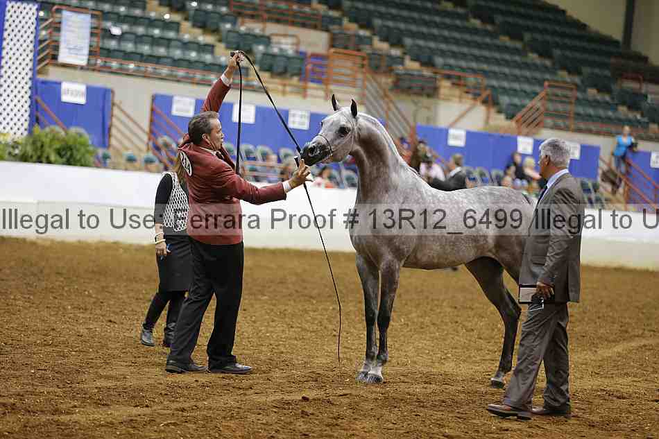 Proof 13r12_6499
