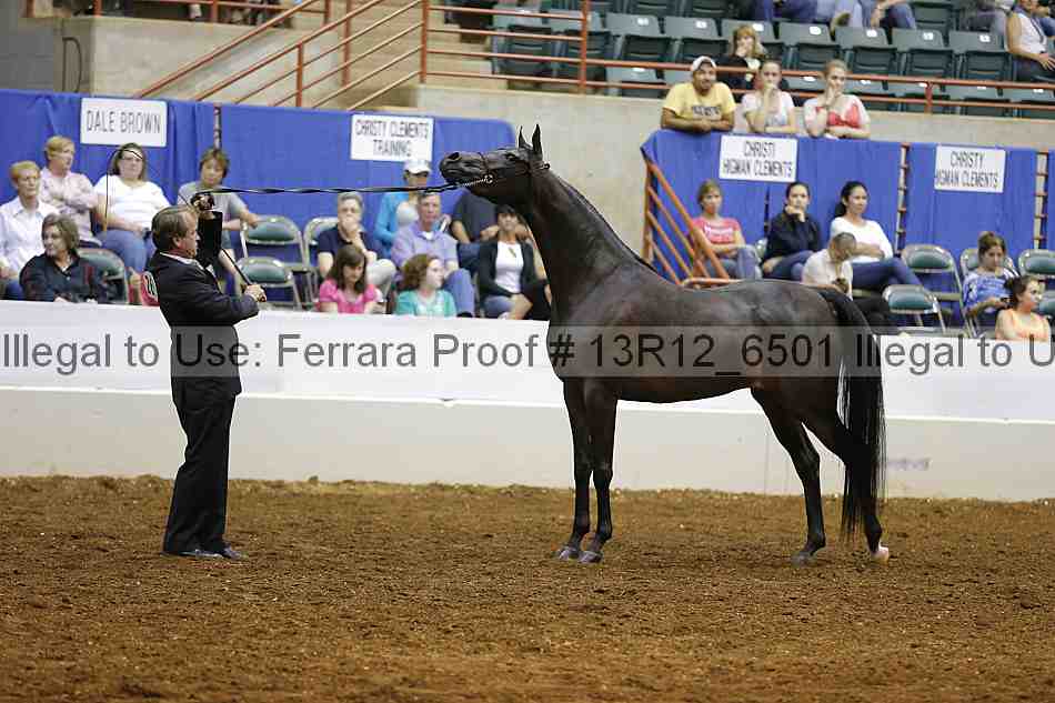 Proof 13r12_6501