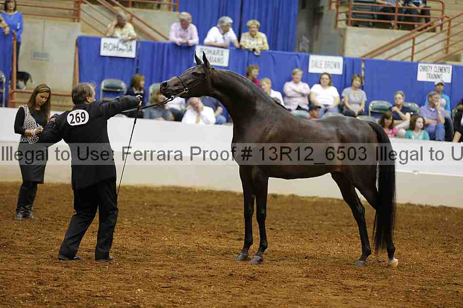 Proof 13r12_6503
