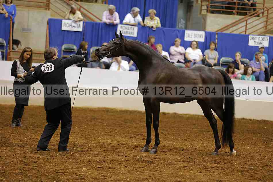 Proof 13r12_6504