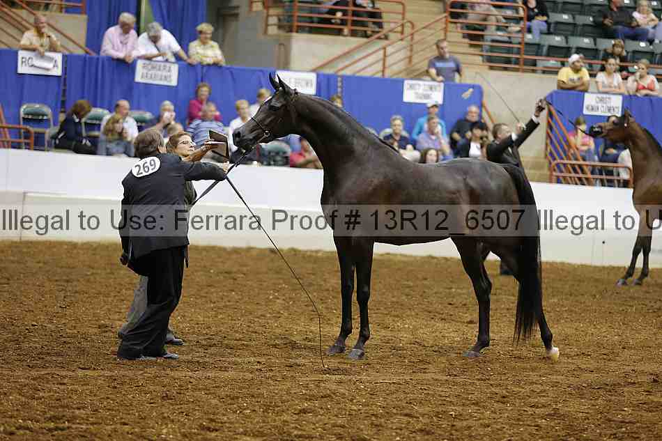 Proof 13r12_6507