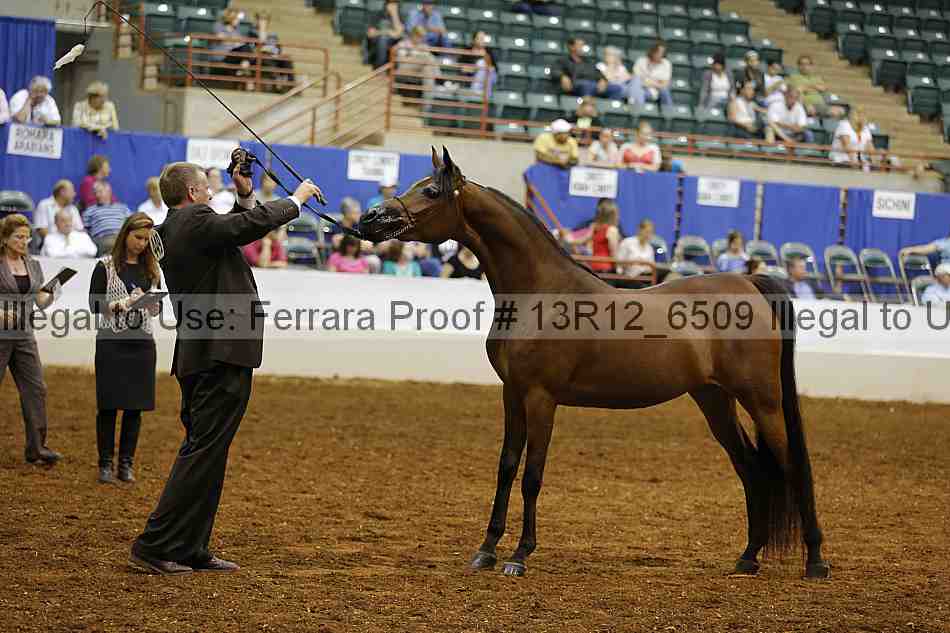 Proof 13r12_6509