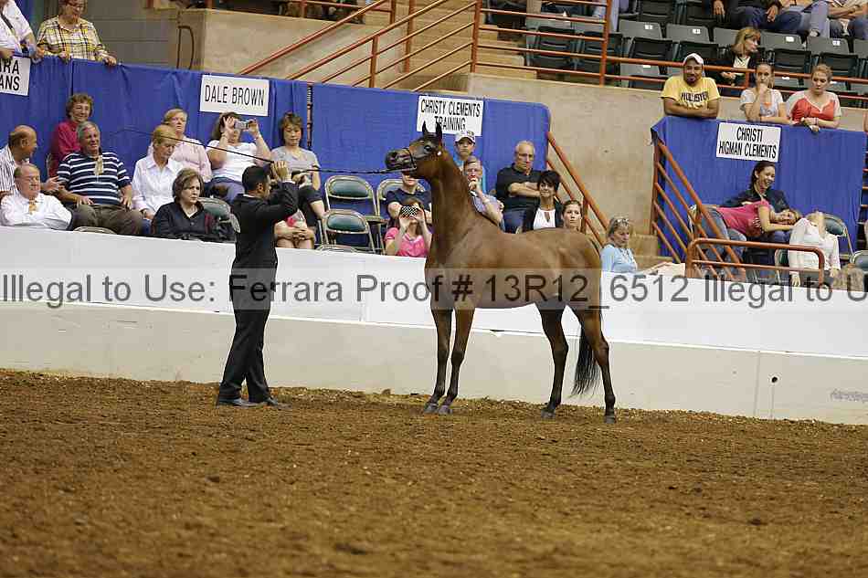 Proof 13r12_6512