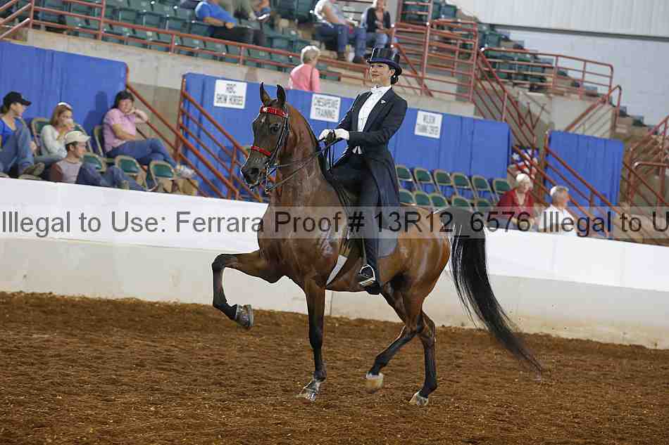 Proof 13r12_6576