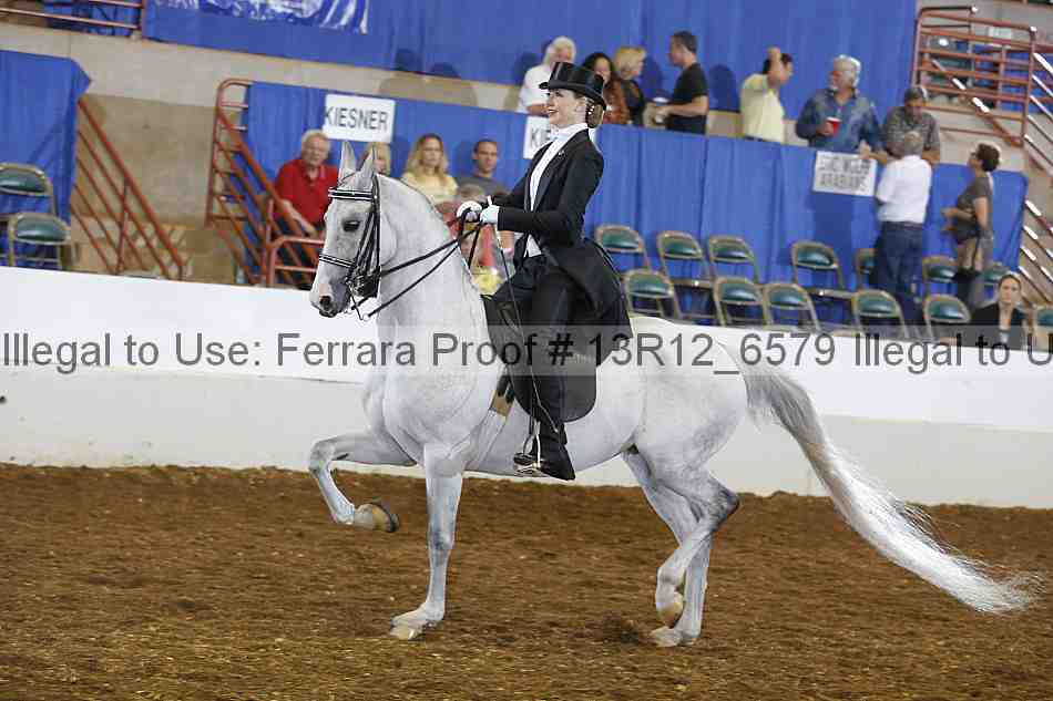 Proof 13r12_6579