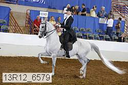 13r12_6579 proof