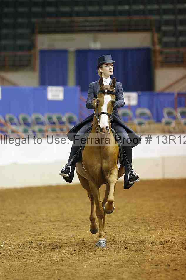 Proof 13r12_6583