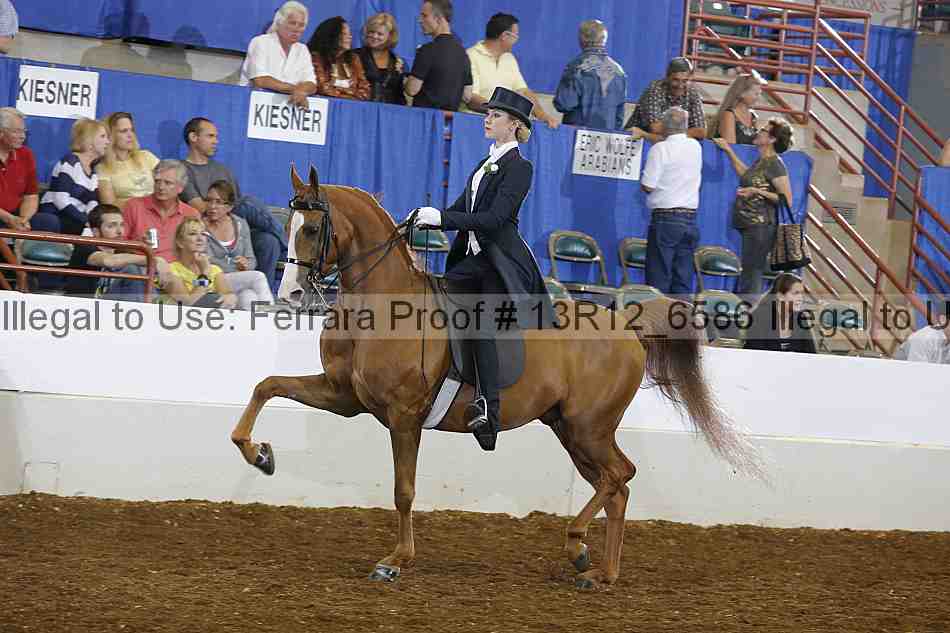Proof 13r12_6586