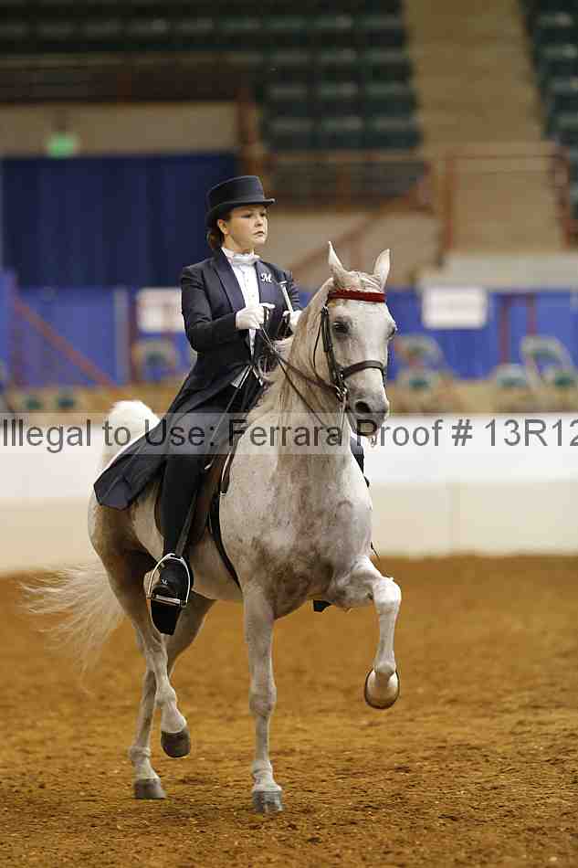 Proof 13r12_6587