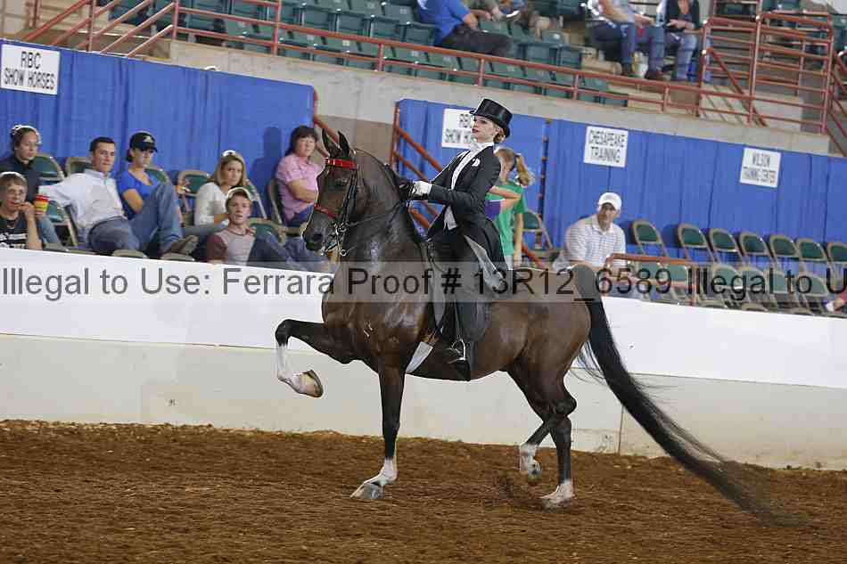 Proof 13r12_6589