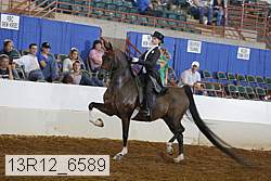 13r12_6589 proof