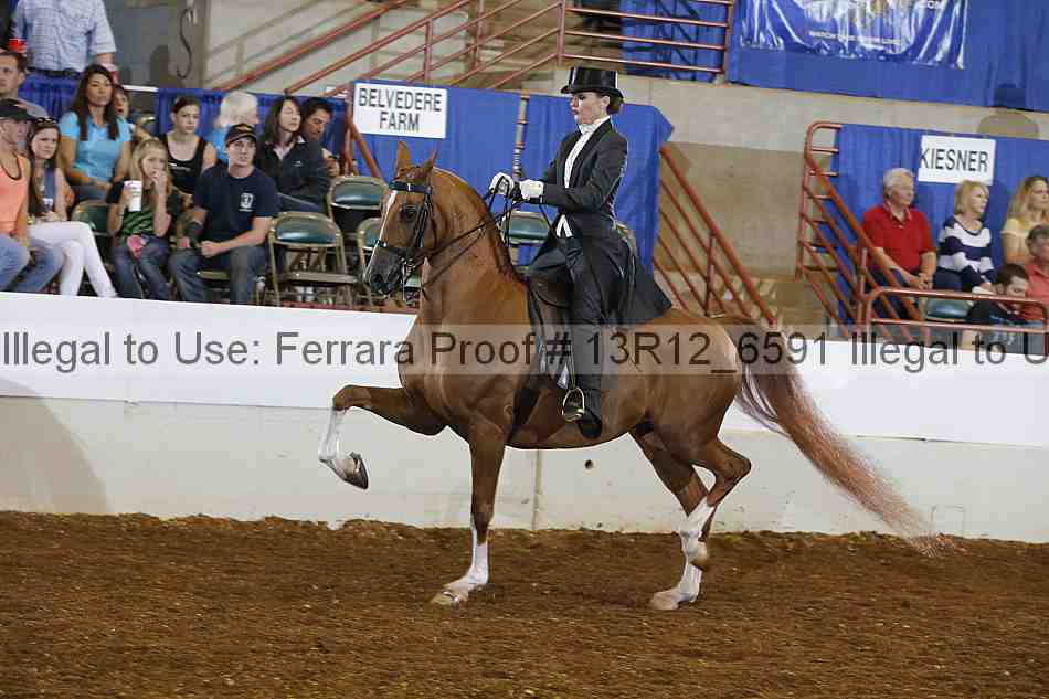 Proof 13r12_6591