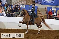 13r12_6591 proof