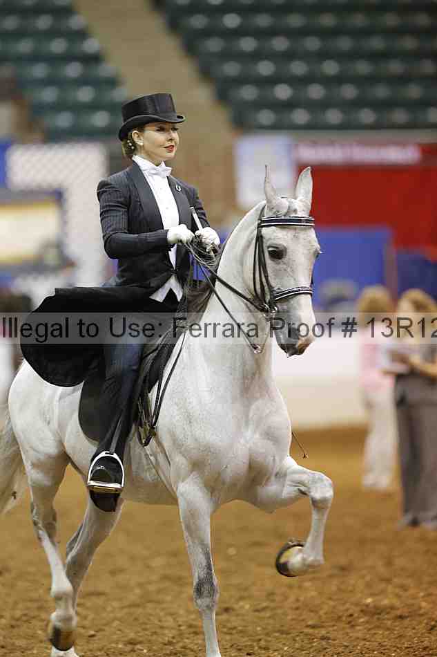 Proof 13r12_6593