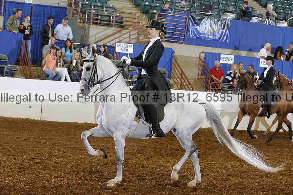 Proof 13r12_6595