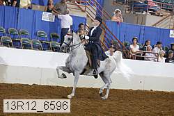 13r12_6596 proof