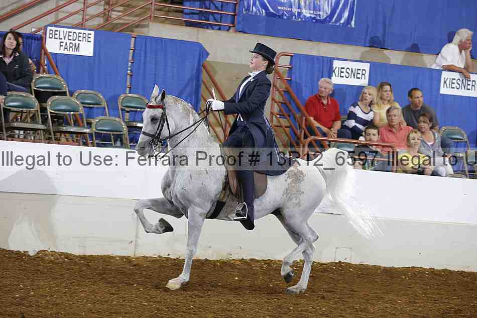Proof 13r12_6597