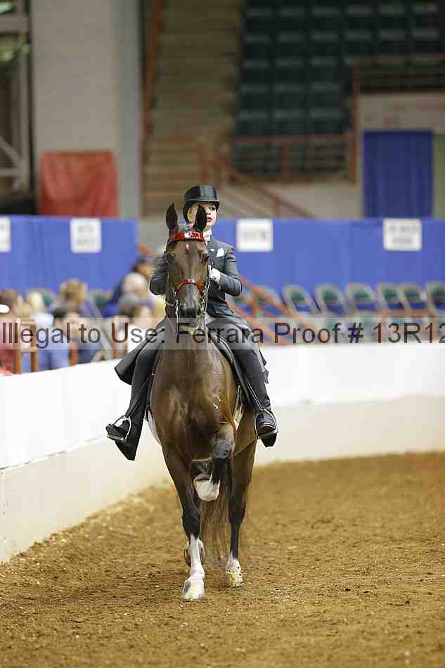 Proof 13r12_6598