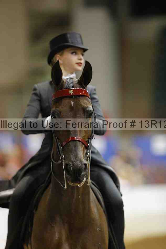 Proof 13r12_6599