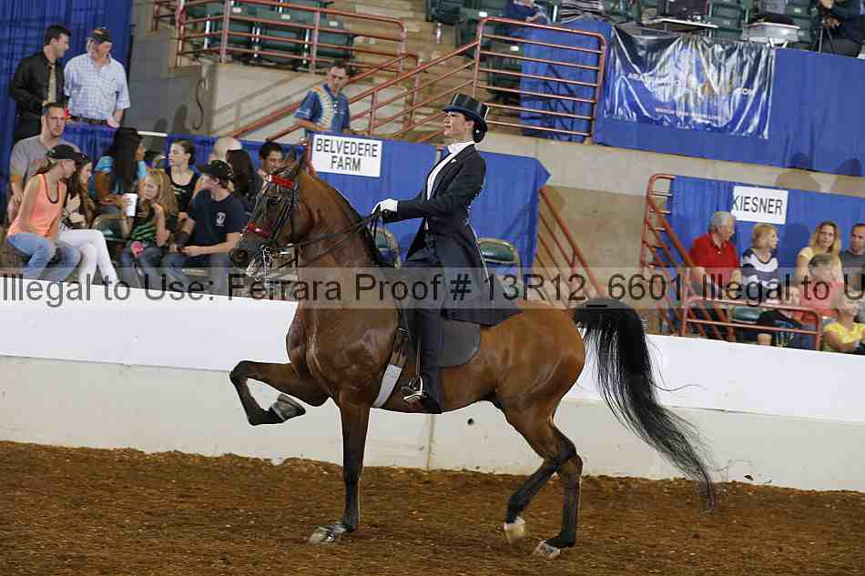 Proof 13r12_6601