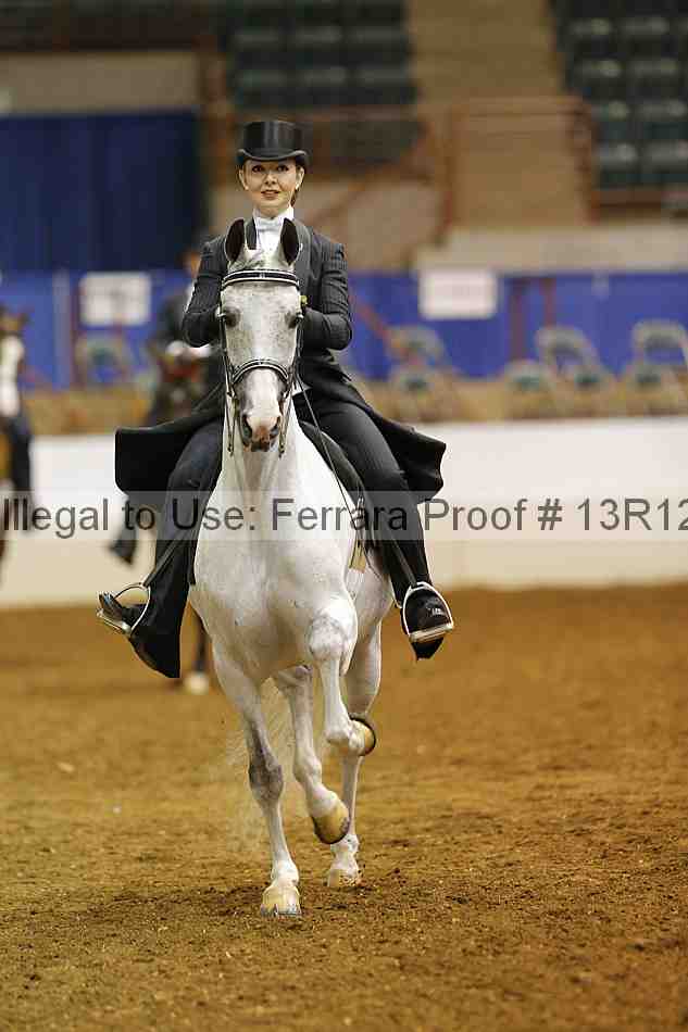 Proof 13r12_6602