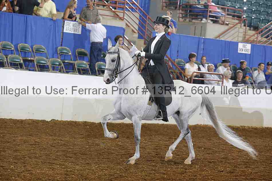 Proof 13r12_6604