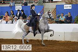 13r12_6605 proof