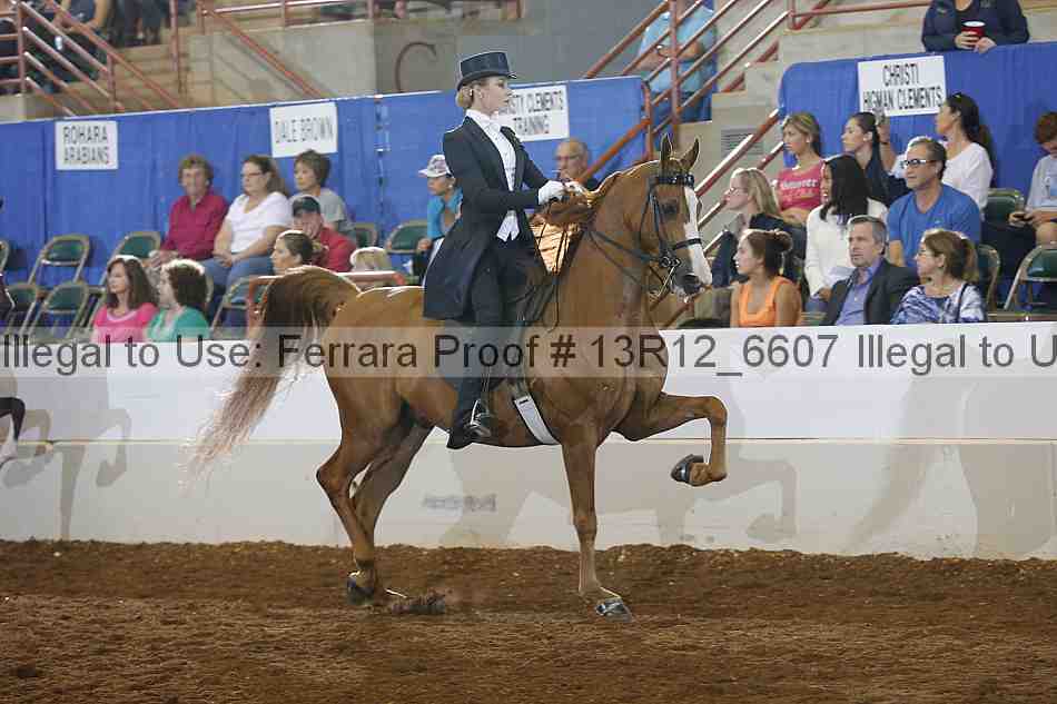 Proof 13r12_6607
