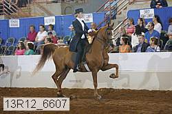 13r12_6607 proof