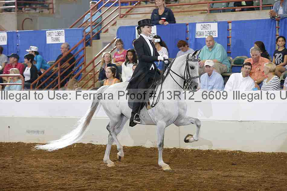 Proof 13r12_6609