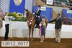 13r12_6617 proof