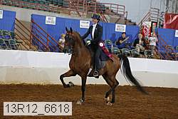 13r12_6618 proof