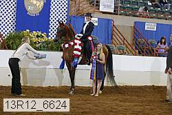 13r12_6624 proof