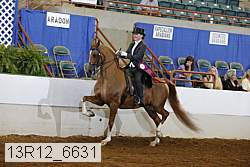 13r12_6631 proof
