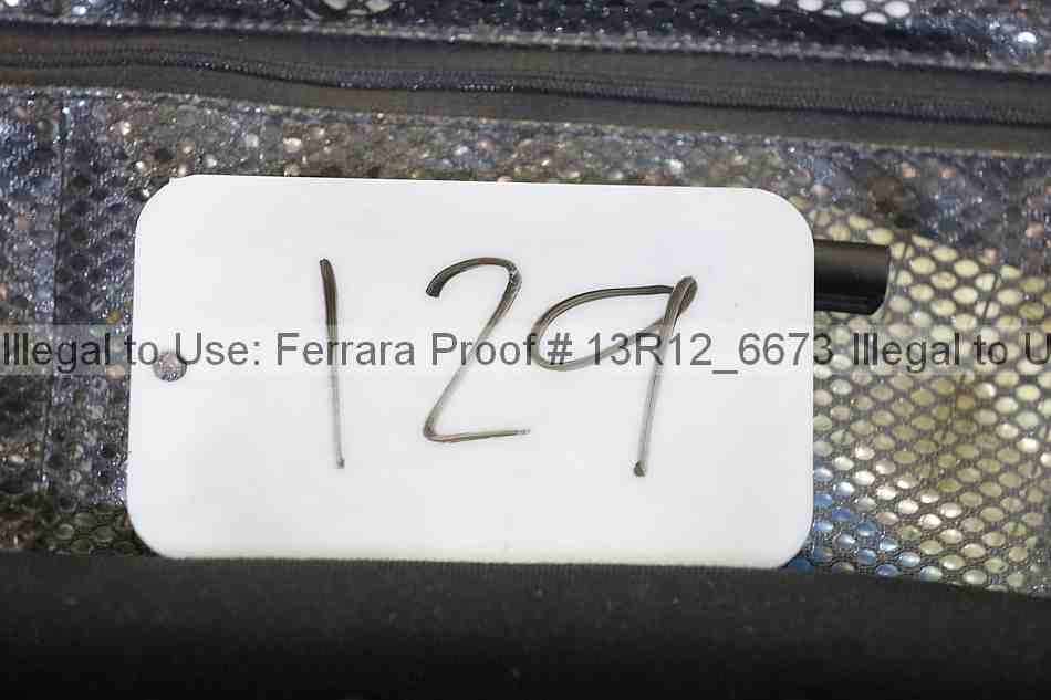 Proof 13r12_6673