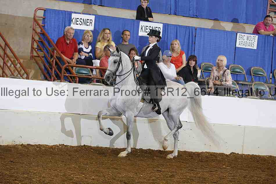 Proof 13r12_6674