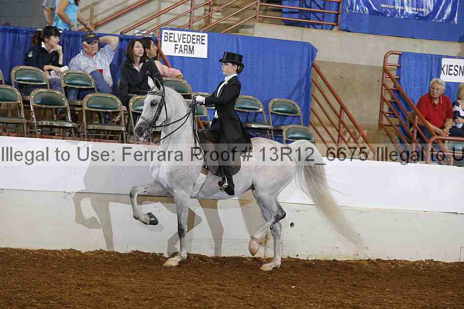 Proof 13r12_6675