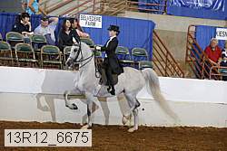 13r12_6675 proof