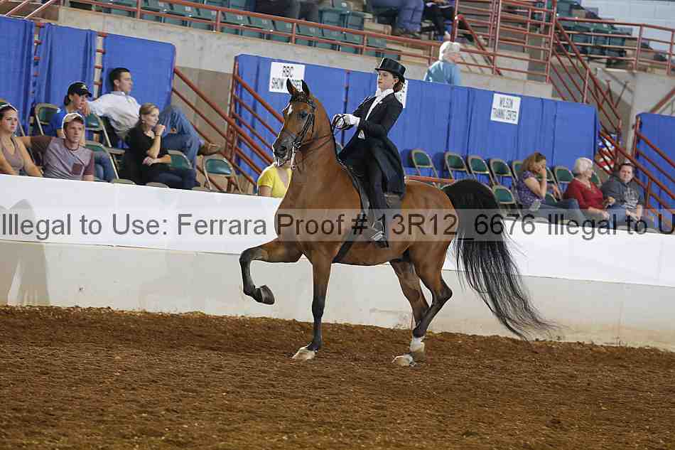 Proof 13r12_6676