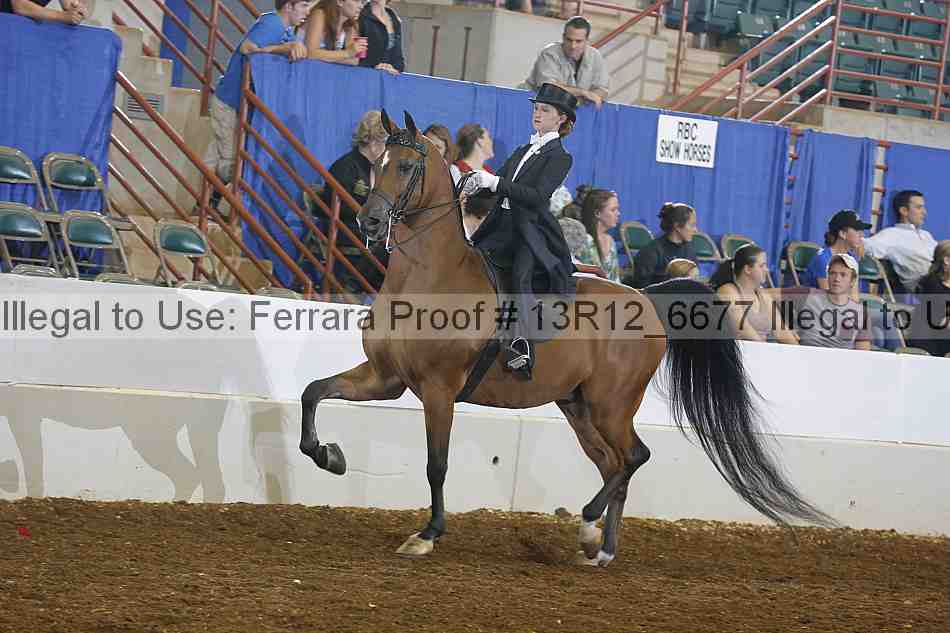 Proof 13r12_6677