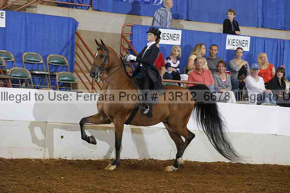 Proof 13r12_6678