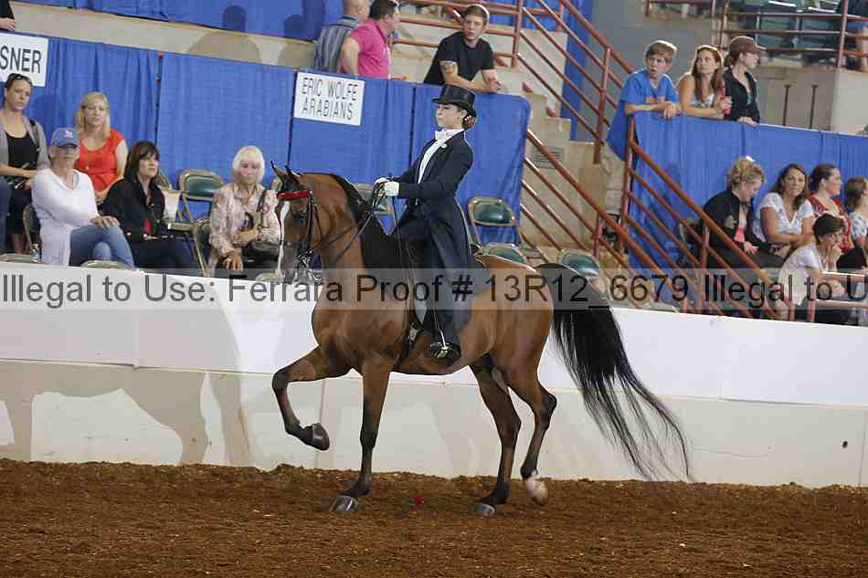 Proof 13r12_6679