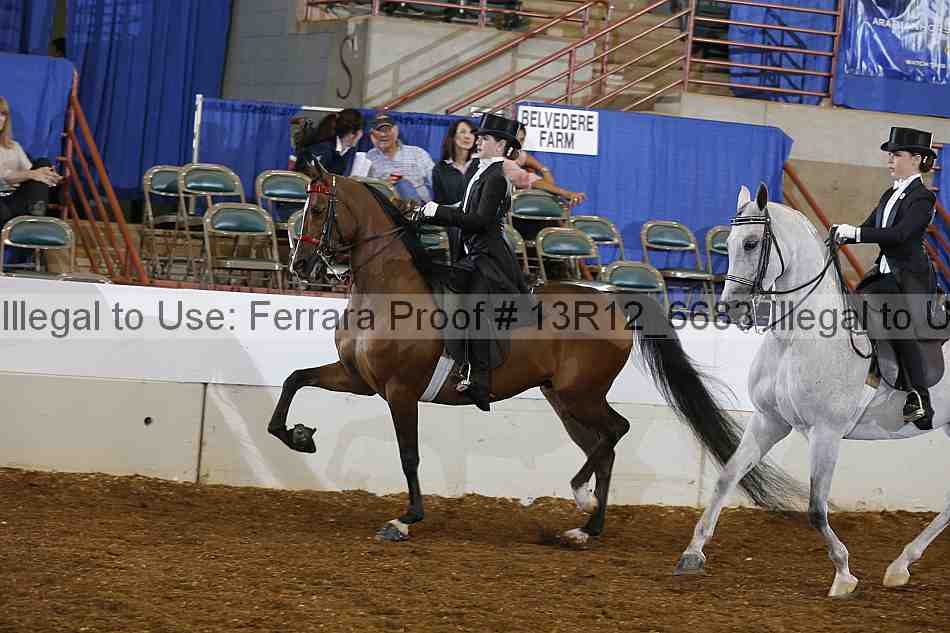 Proof 13r12_6683