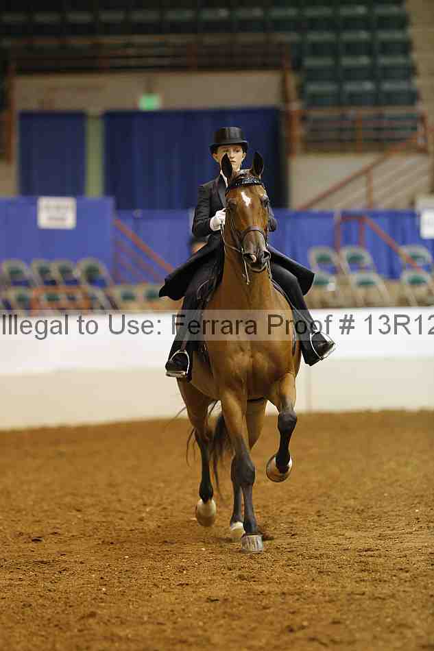 Proof 13r12_6684