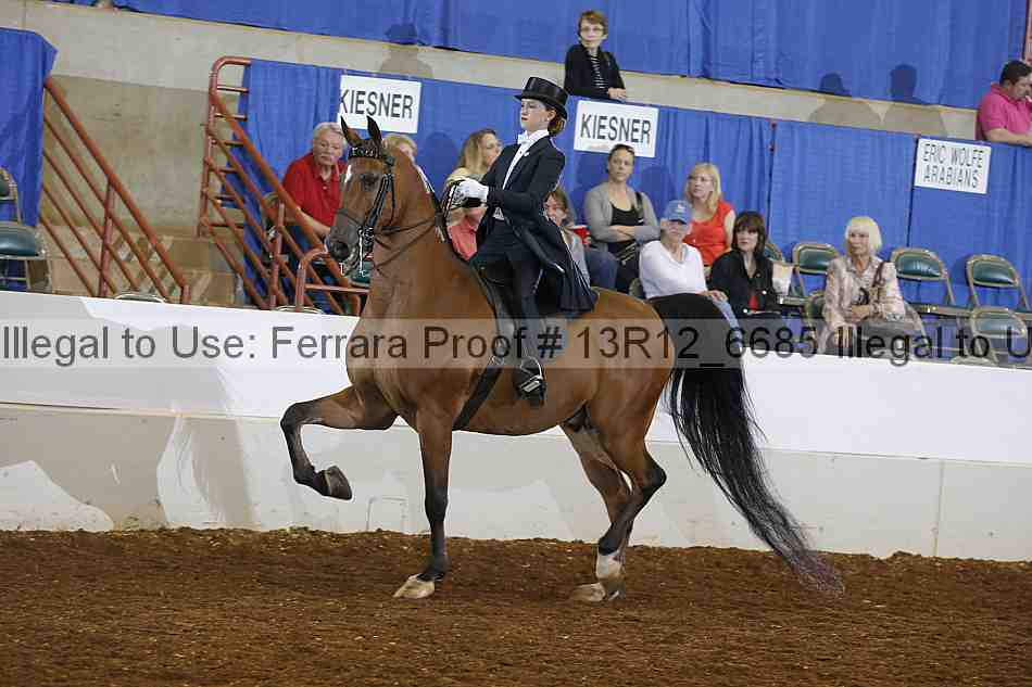 Proof 13r12_6685