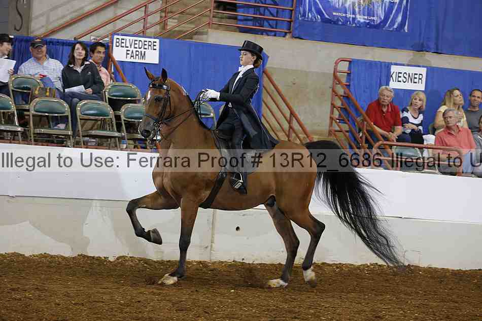 Proof 13r12_6686