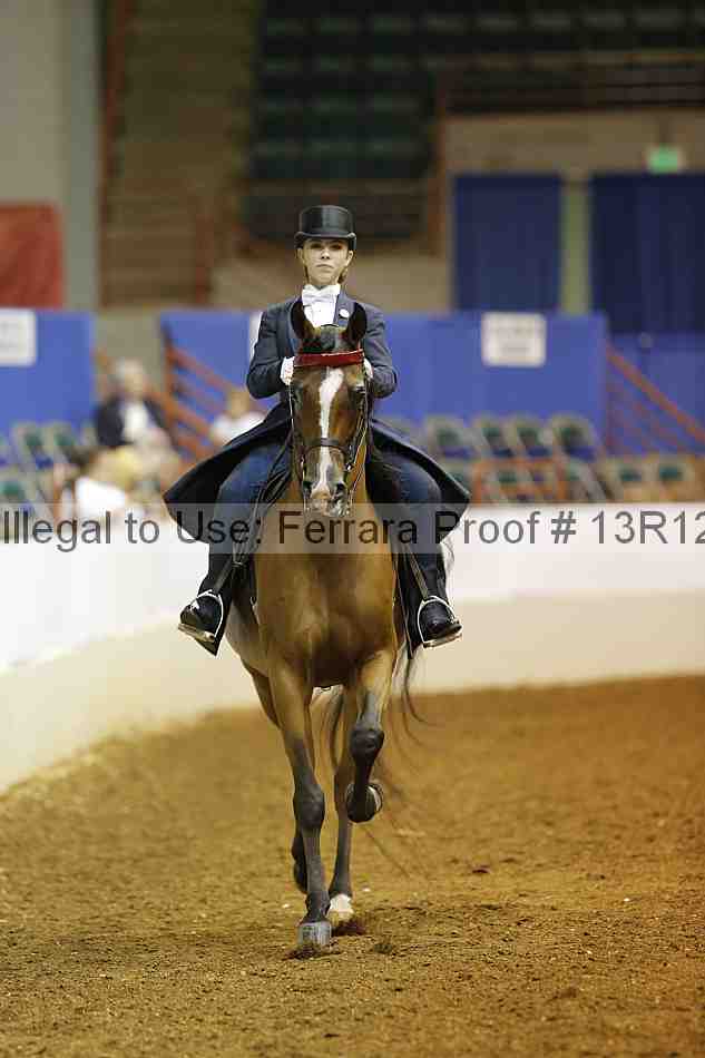 Proof 13r12_6687