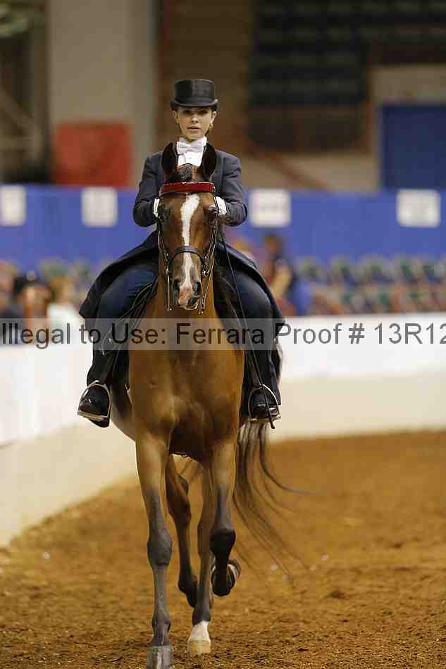 Proof 13r12_6688