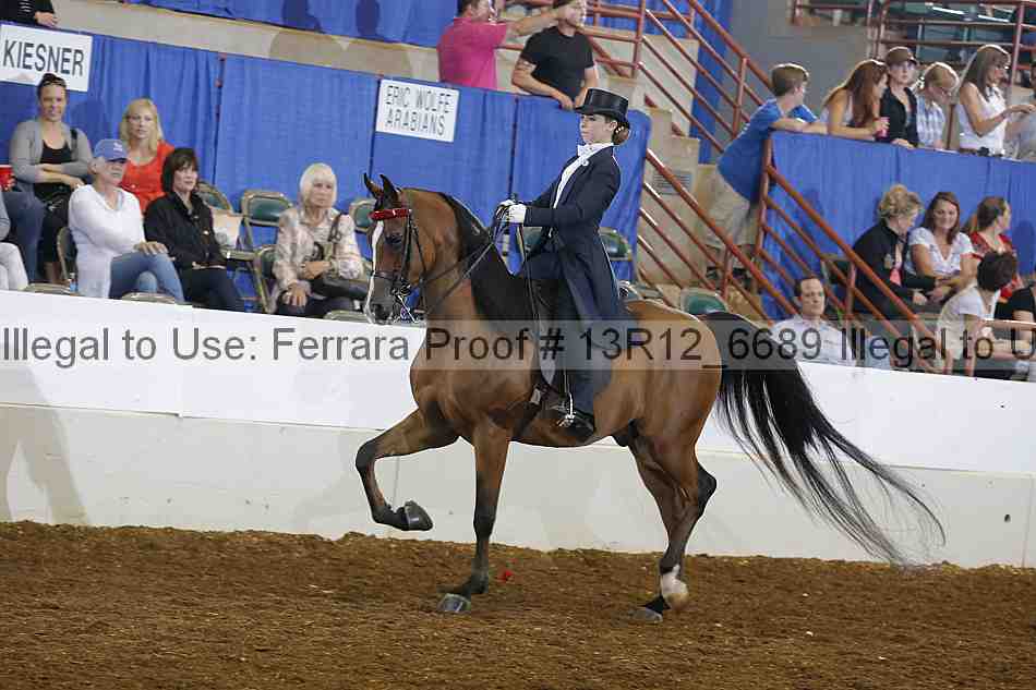 Proof 13r12_6689