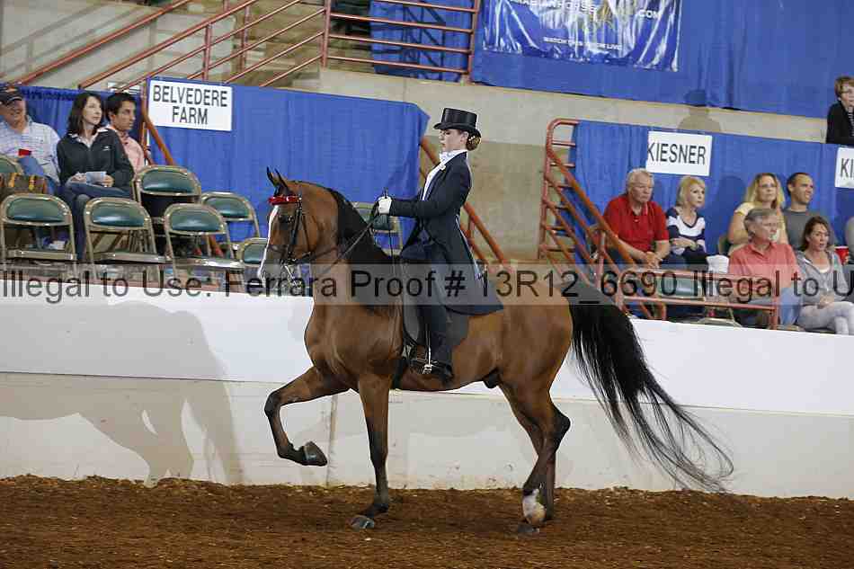 Proof 13r12_6690